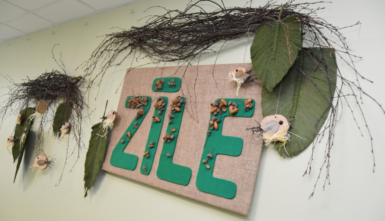 DSCP “Zīle” atzīmē trīs gadu jubileju