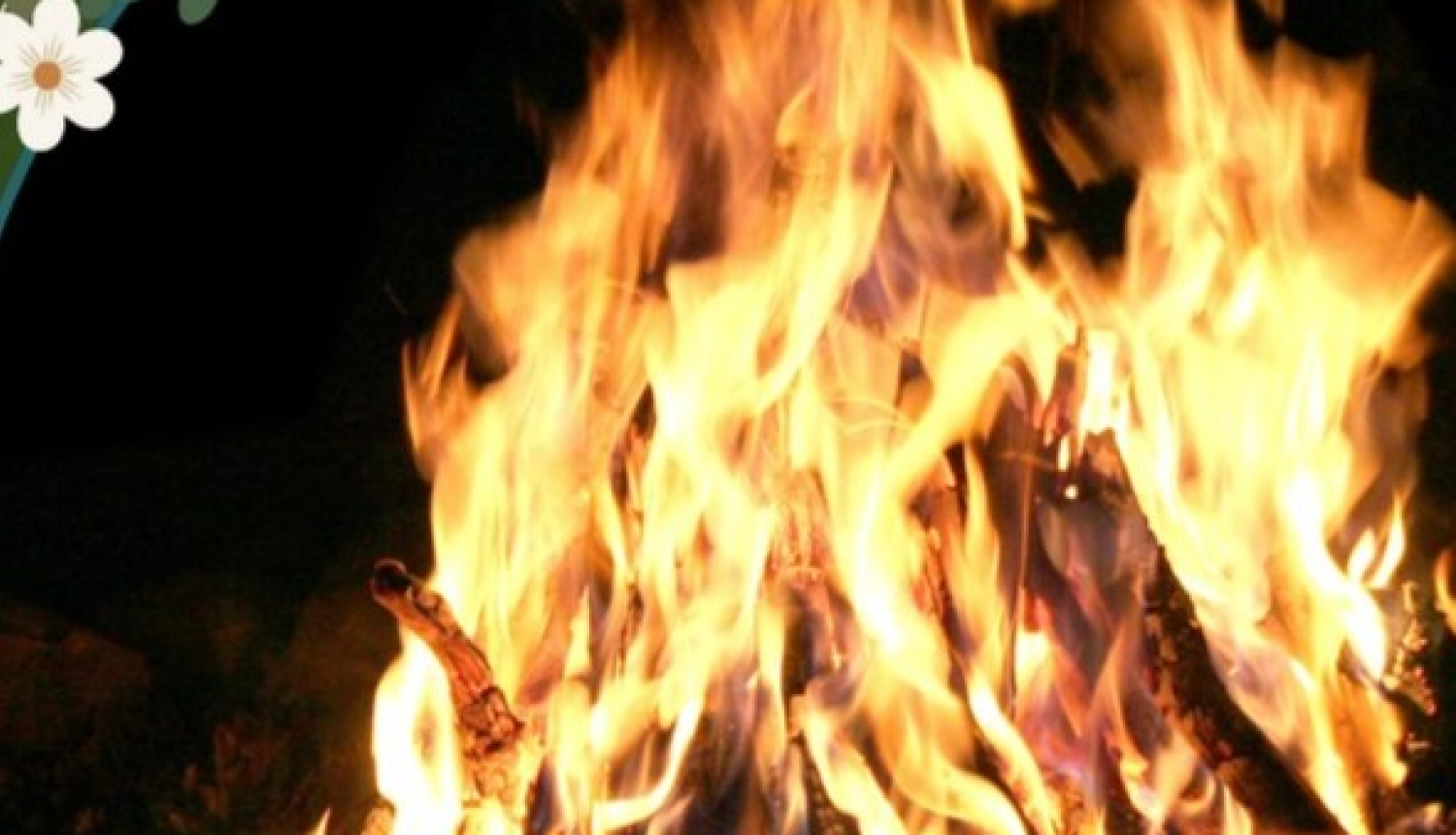 Līvbērze_Jāņu_balle