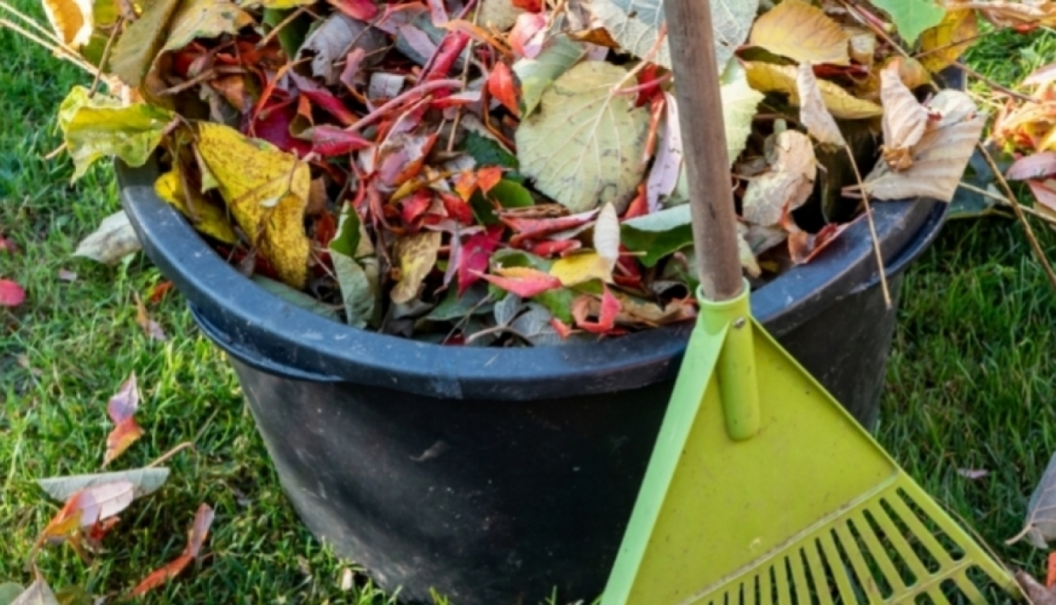 Jelgavas novadā ir izveidoti trīs zaļo dārza atkritumu savākšanas laukumi