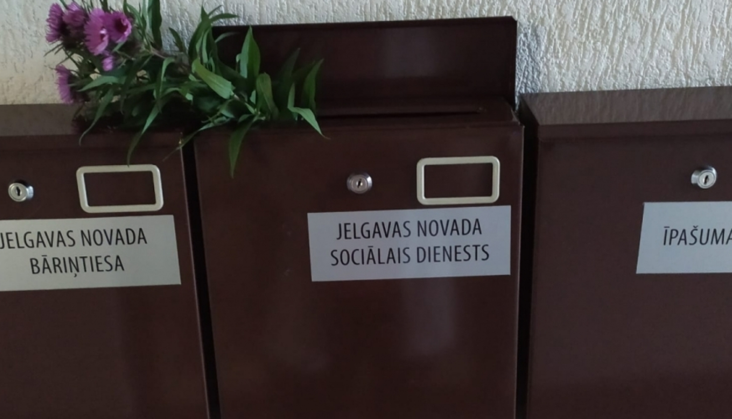 Informācija asistenta, pavadoņa un aprūpes mājās pakalpojumu sniedzējiem