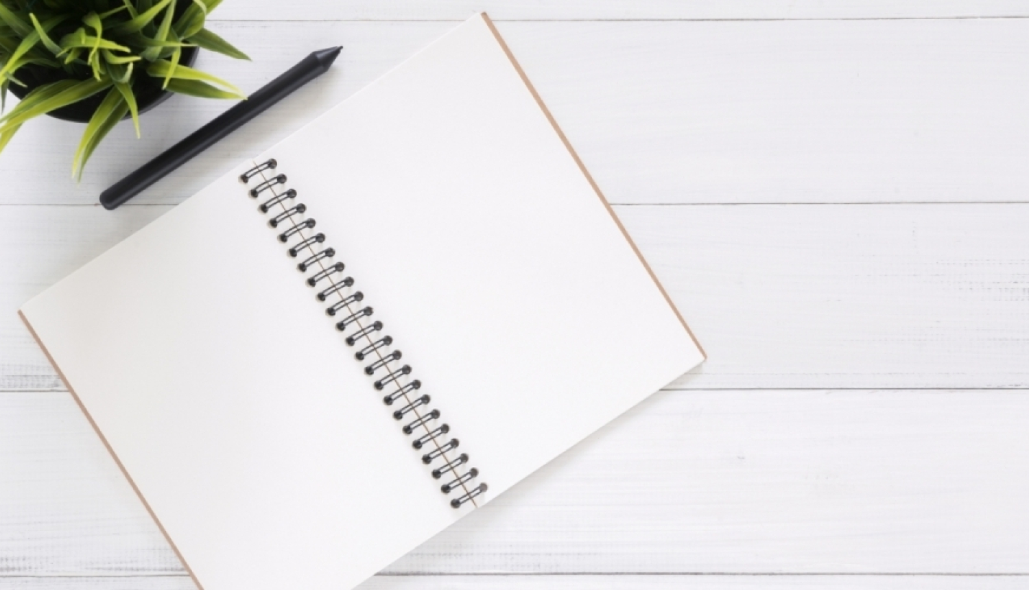 Izsludina pieteikšanos projektu konkursam biedrību un nodibinājumu atbalstam