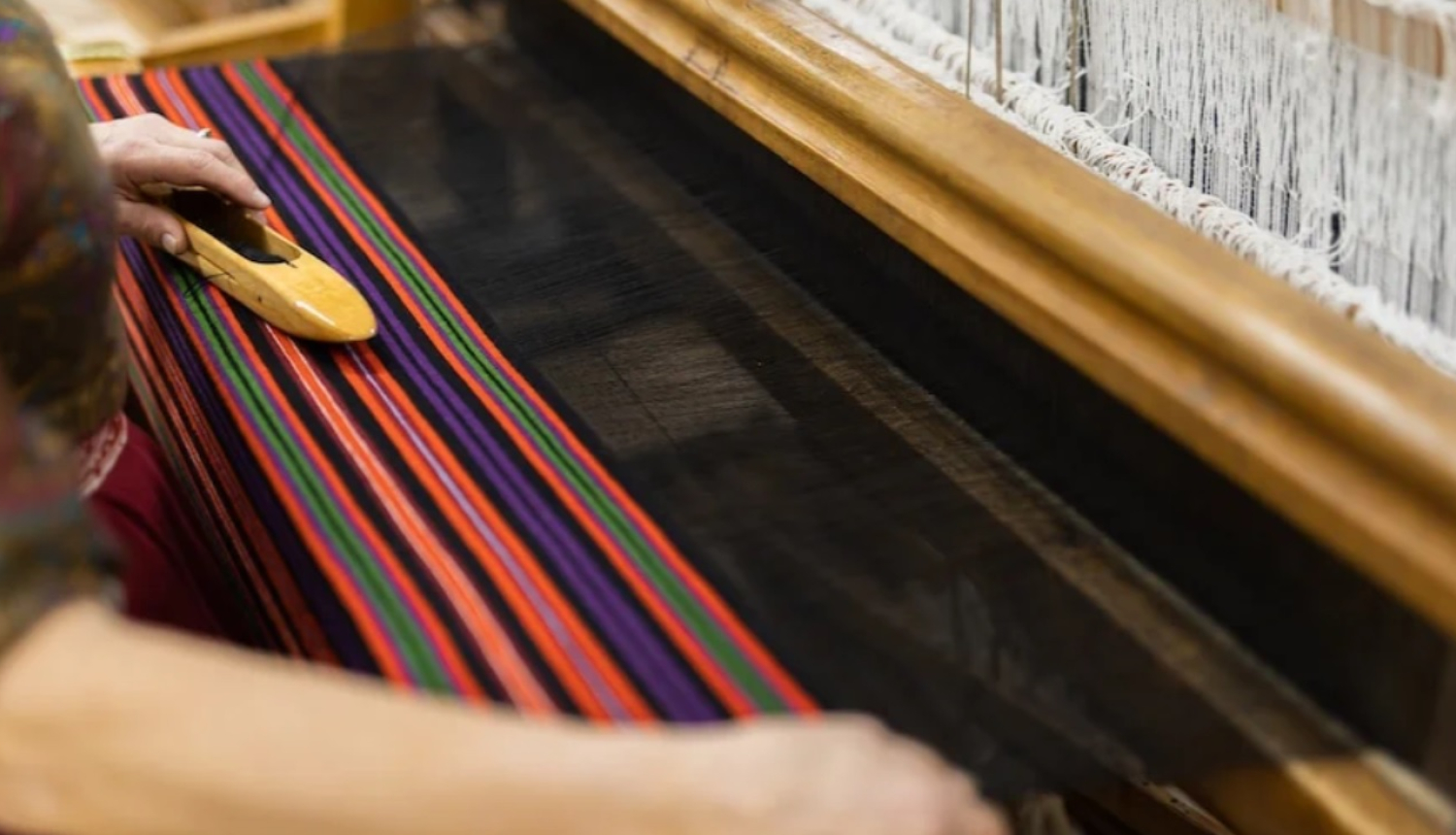 Līvbērze_satiec_savu