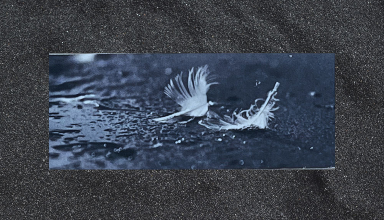 Zēbergs_Attiecības