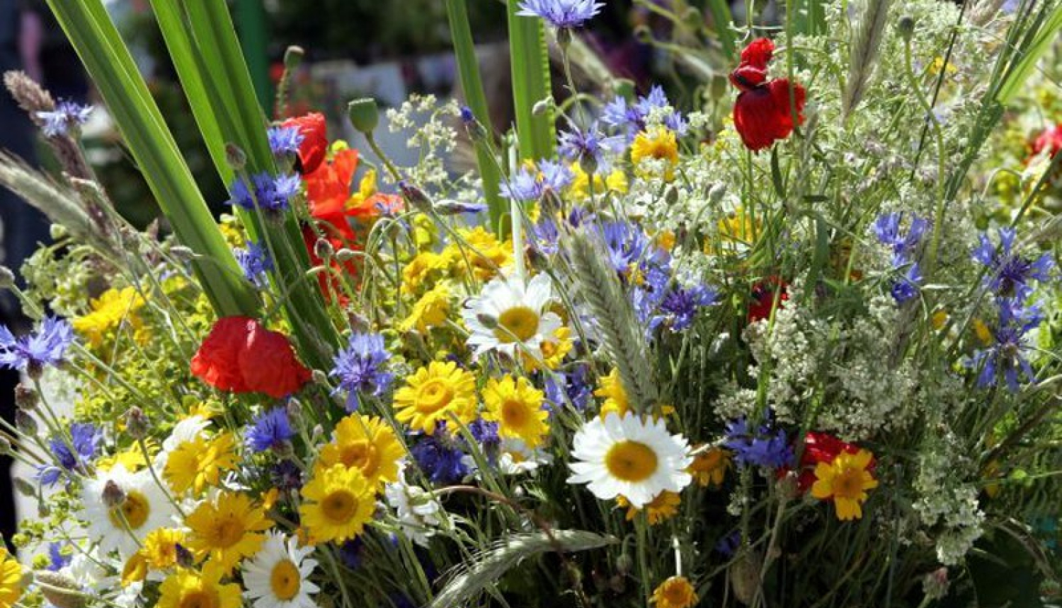 Ozolnieki_tirdziņš