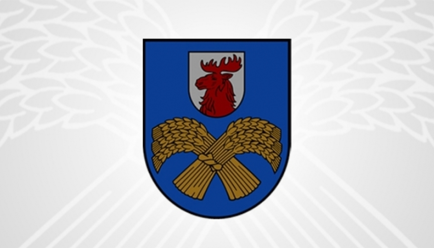 Jelgavas novadā apstiprināti jauni saistošie noteikumi par transporta kompensācijām novada izglītojamajiem