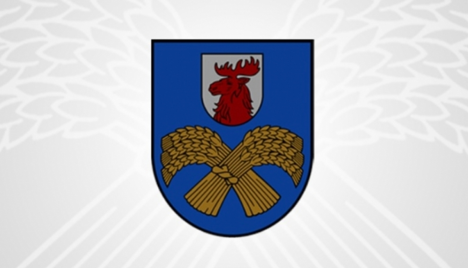 Domes priekšsēdētāja vietnieks iesniedz atlūgumu