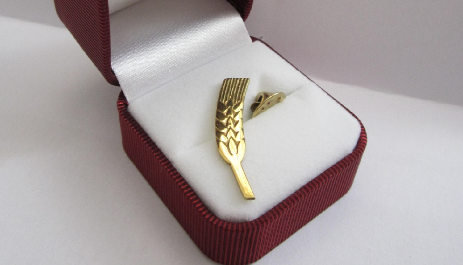 Vārpiņa - augstākais pašvaldības apbalvojums