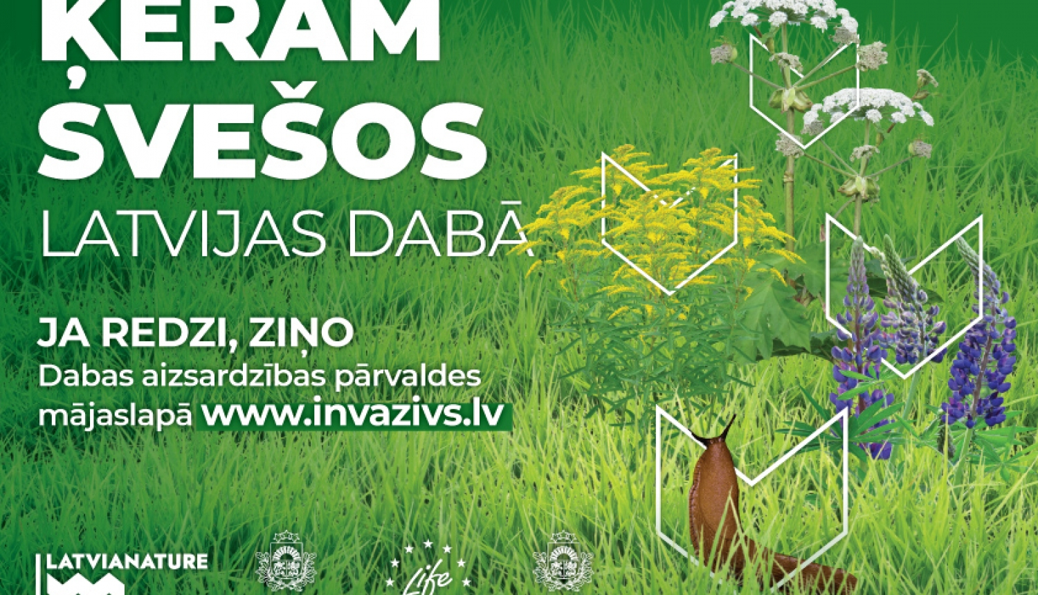 ķeram svešos latvijas dabā