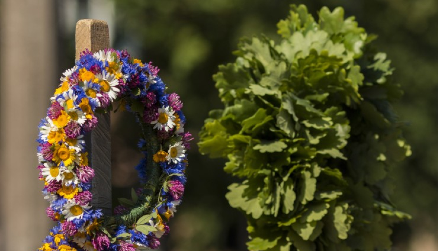 Lielplatone_ielīgošana