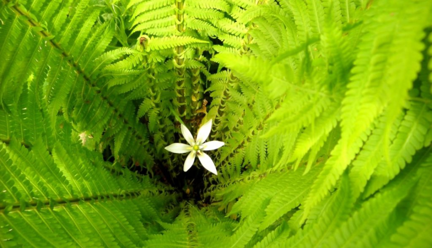 Valgunde_ielīgošana