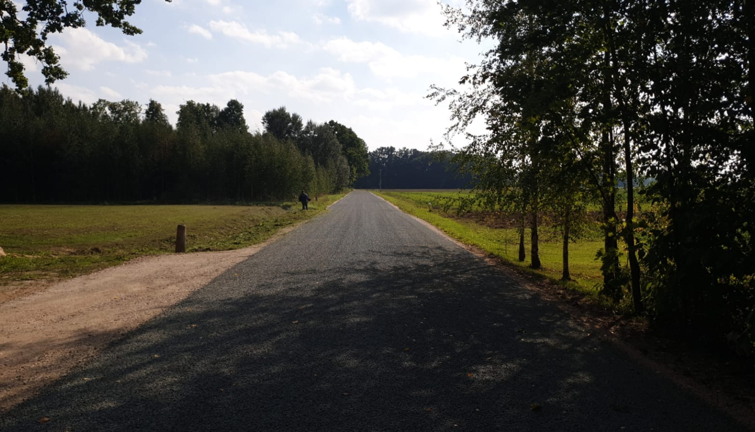 bilde Lediņu ceļš