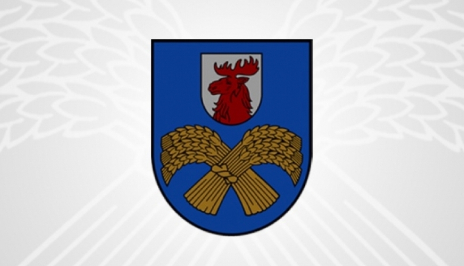 Domes ārkārtas (slēgtā) sēde Nr.14