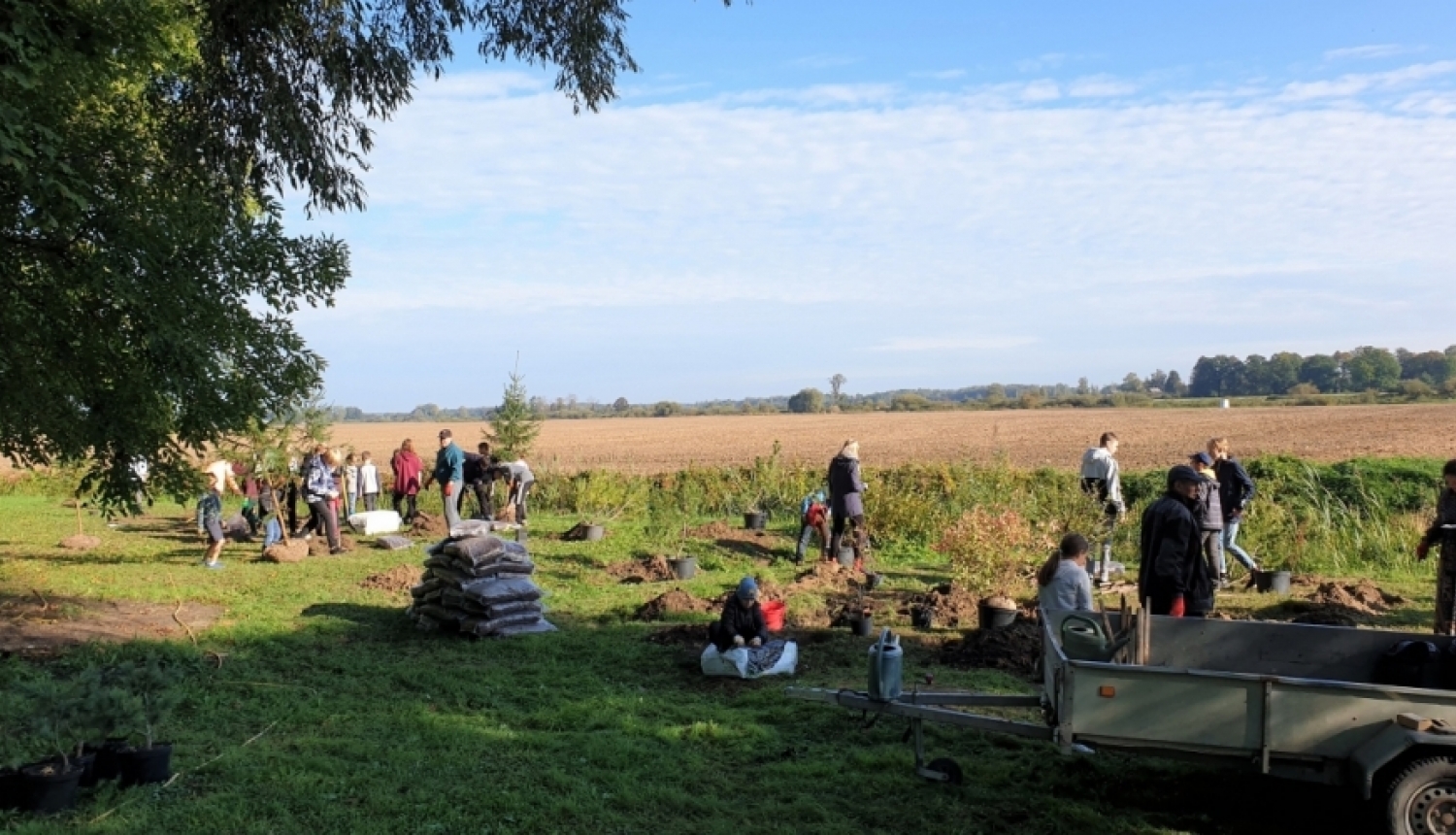 Staļģenes muižas parkā norisinājusies koku un krūmu stādīšanas talka