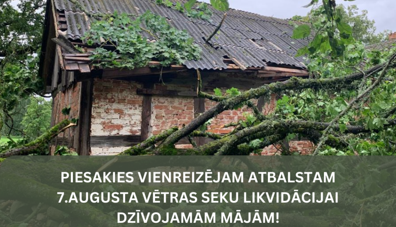 bilde
