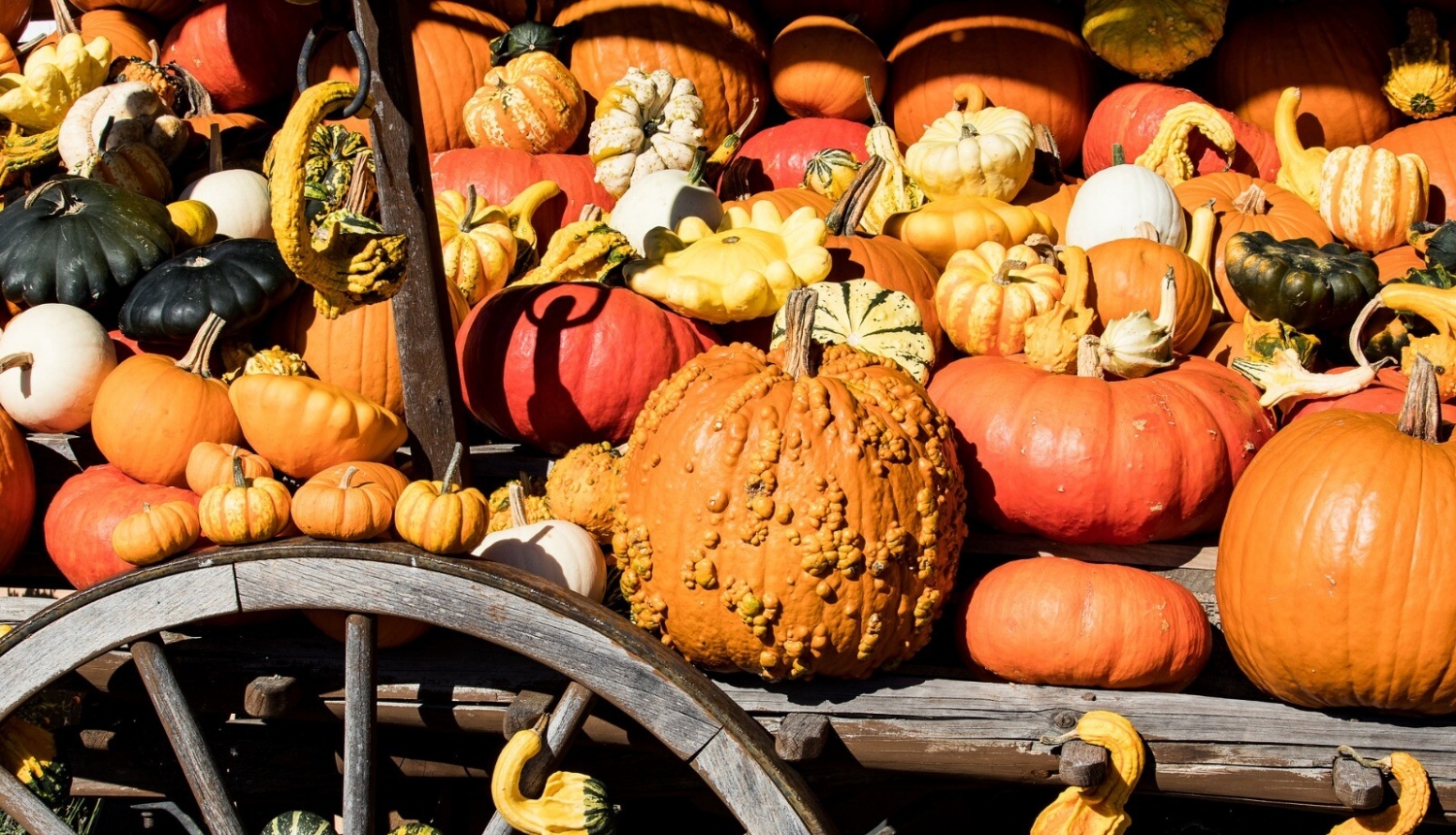 Ozolnieki_mājr_tirdz