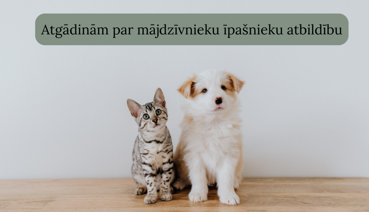 bilde