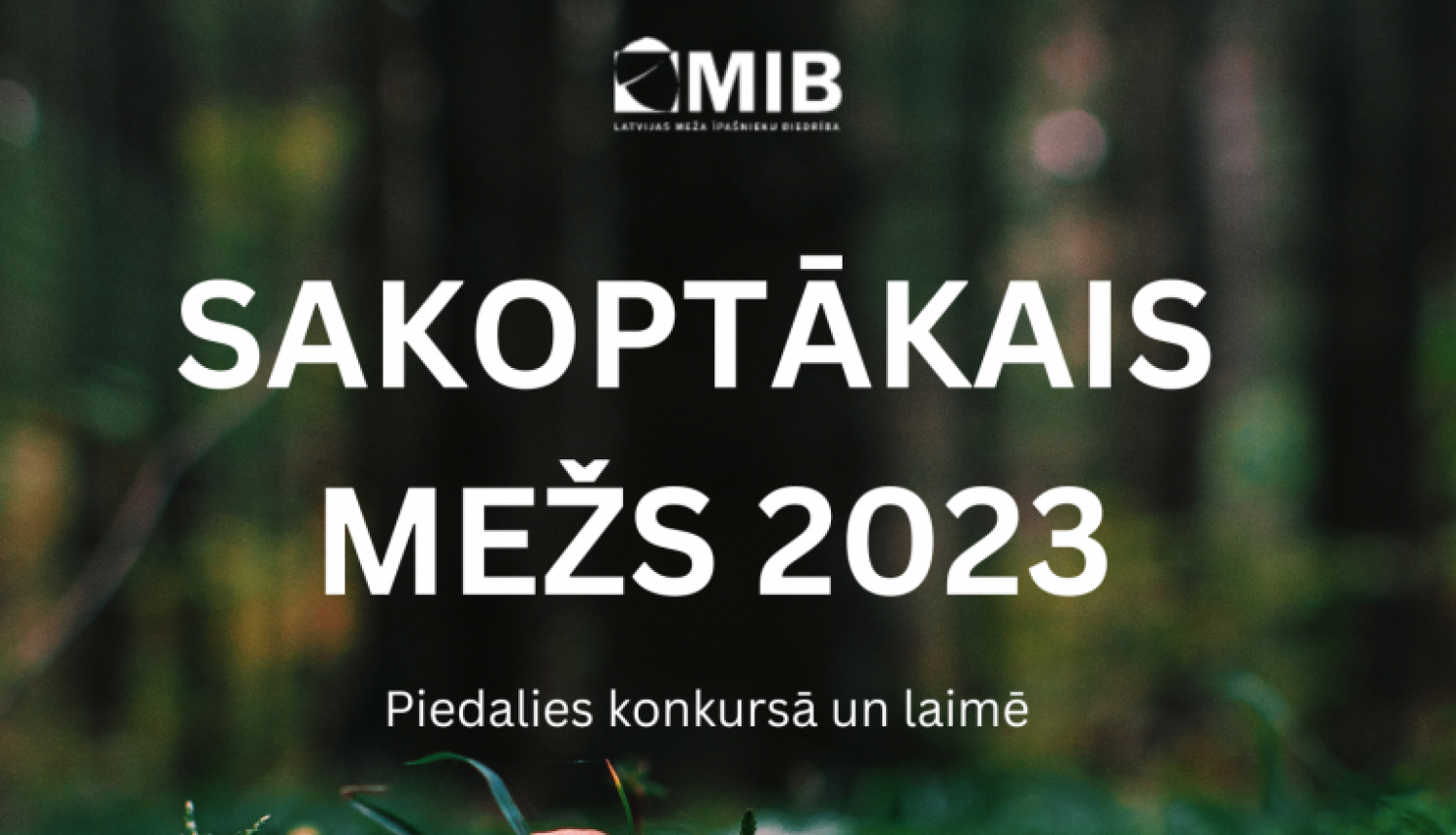 Sakoptākais mežs 2023