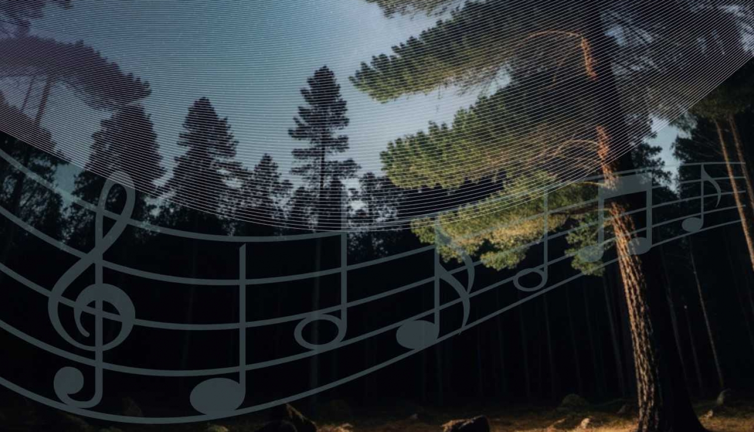 Vīnava_Tikai_Tev