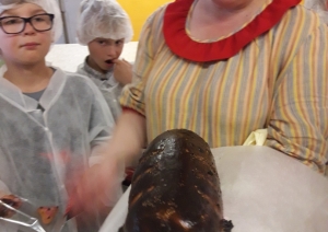 attels2