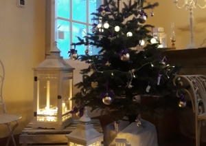 Ziemas saulgrieži Elejas muižas parkā