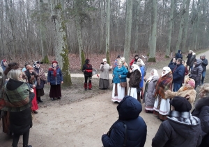 Ziemas saulgrieži Elejas muižas parkā