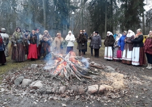 Ziemas saulgrieži Elejas muižas parkā