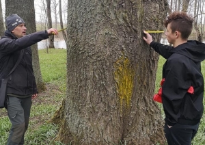 Zemes dienā jaunatnes darbinieki un jaunieši stāda kokus