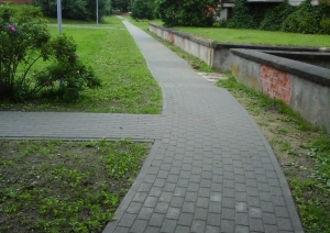 s1_14240.jpg