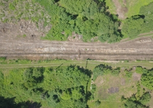 s1_15447.jpg