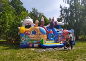 s1_29433.jpg